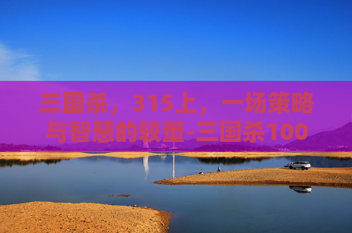三国杀,315上,一场策略与智慧的较量-三国杀1003无标题 三国杀,315上,一场策略与智慧的较量-三国杀1003无标题