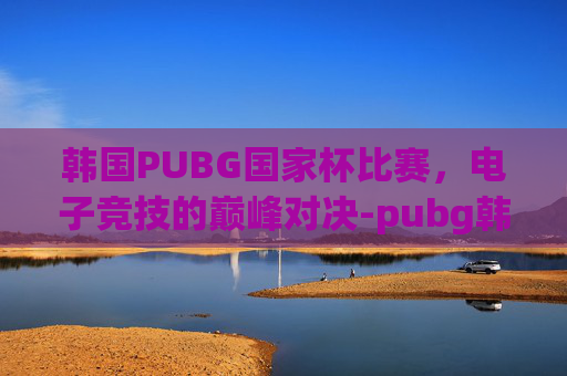 韩国PUBG国家杯比赛，电子竞技的巅峰对决-pubg韩国联赛