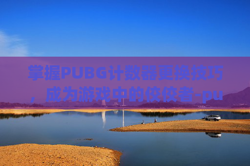 掌握PUBG计数器更换技巧，成为游戏中的佼佼者-pubg计数器怎么用