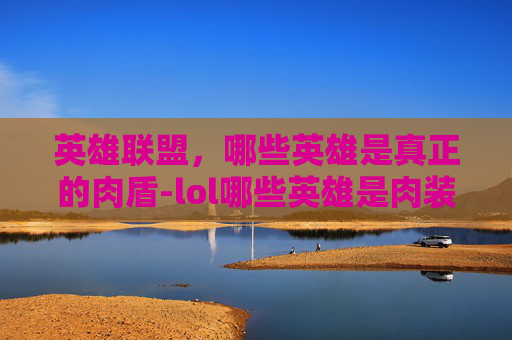 英雄联盟，哪些英雄是真正的肉盾-lol哪些英雄是肉装的