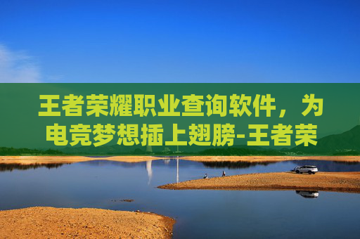 王者荣耀职业查询软件，为电竞梦想插上翅膀-王者荣耀职业查询软件下载
