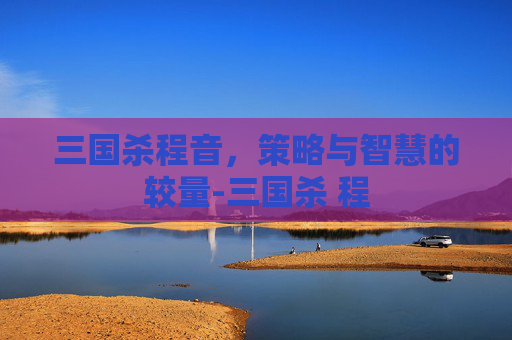 三国杀程音，策略与智慧的较量-三国杀 程