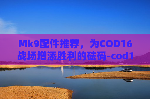 Mk9配件推荐，为COD16战场增添胜利的砝码-cod16 mk9配件
