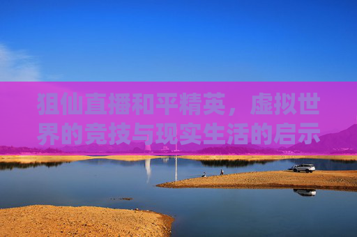 狙仙直播和平精英，虚拟世界的竞技与现实生活的启示-狙仙直播和平精英在哪看