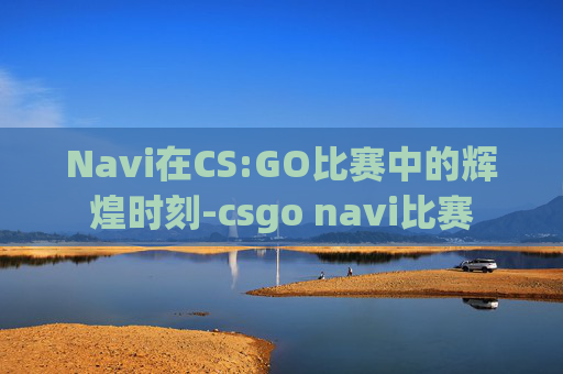 Navi在CS:GO比赛中的辉煌时刻-csgo navi比赛