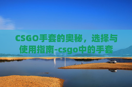 CSGO手套的奥秘,选择与使用指南-csgo中的手套 CSGO手套的奥秘,选择与使用指南-csgo中的手套