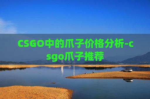 CSGO中的爪子价格分析-csgo爪子推荐