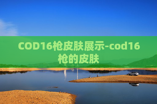 COD16枪皮肤展示-cod16枪的皮肤 COD16枪皮肤展示-cod16枪的皮肤