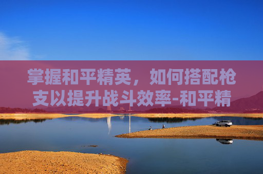 掌握和平精英，如何搭配枪支以提升战斗效率-和平精英怎么搭配枪支皮肤
