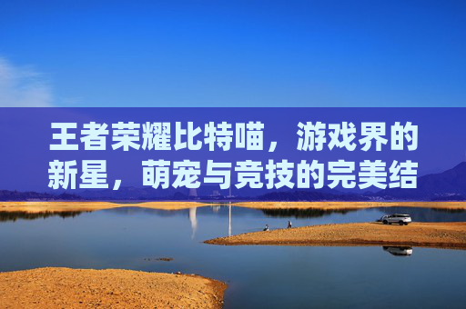 王者荣耀比特喵,游戏界的新星,萌宠与竞技的完美结合-王者荣耀比特喵怎么获得 王者荣耀比特喵,游戏界的新星,萌宠与竞技的完美结合-王者荣耀比特喵怎么获得