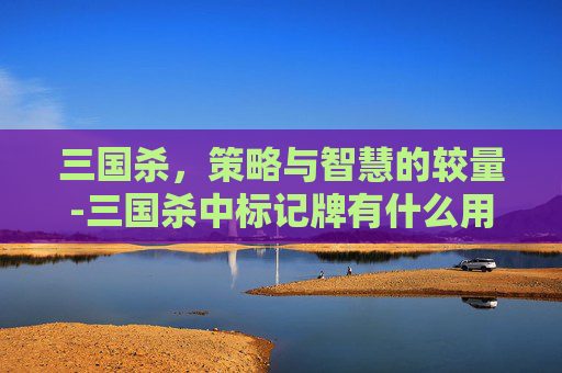 三国杀，策略与智慧的较量-三国杀中标记牌有什么用