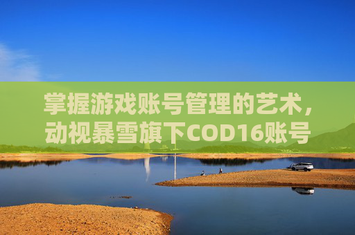 掌握游戏账号管理的艺术,动视暴雪旗下COD16账号改绑全攻略-cod16更改绑定动视账号 掌握游戏账号管理的艺术,动视暴雪旗下COD16账号改绑全攻略-cod16更改绑定动视账号