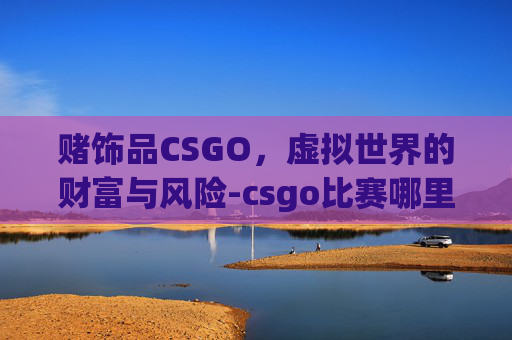 赌饰品CSGO,虚拟世界的财富与风险-csgo比赛哪里赌 赌饰品CSGO,虚拟世界的财富与风险-csgo比赛哪里赌