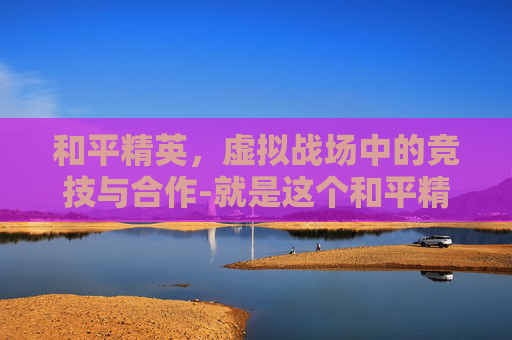 和平精英，虚拟战场中的竞技与合作-就是这个和平精英表情包