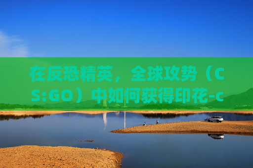 在反恐精英,全球攻势(CS:GO)中如何获得印花-csgo的印花怎么获得 在反恐精英,全球攻势(CS:GO)中如何获得印花-csgo的印花怎么获得
