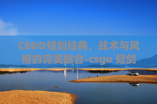 CSGO短剑经典，战术与风格的完美融合-csgo 短剑