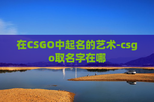 在CSGO中起名的艺术-csgo取名字在哪