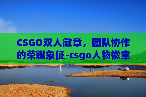 CSGO双人徽章，团队协作的荣耀象征-csgo人物徽章