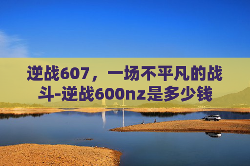 逆战607，一场不平凡的战斗-逆战600nz是多少钱