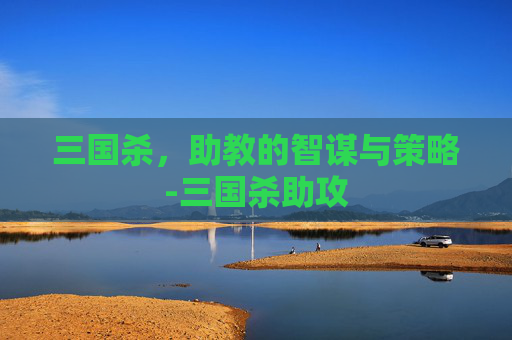 三国杀，助教的智谋与策略-三国杀助攻