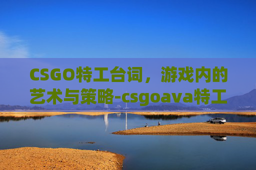 CSGO特工台词，游戏内的艺术与策略-csgoava特工语音台词