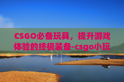 CSGO必备玩具，提升游戏体验的终极装备-csgo小玩具