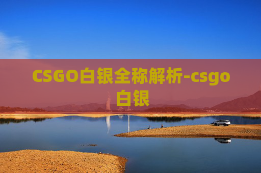 CSGO白银全称解析-csgo 白银