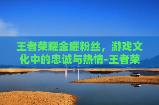 王者荣耀金曜粉丝，游戏文化中的忠诚与热情-王者荣耀金曜粉丝叫什么