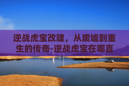 逆战虎宝改建，从废墟到重生的传奇-逆战虎宝在哪直播