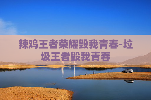 辣鸡王者荣耀毁我青春-垃圾王者毁我青春