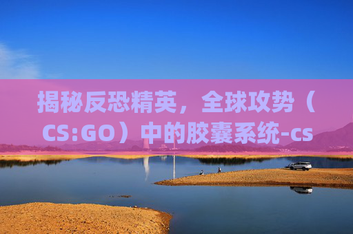 揭秘反恐精英，全球攻势（CS:GO）中的胶囊系统-csgo胶囊能开出什么