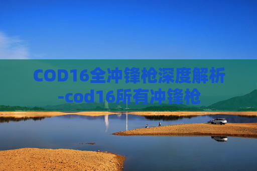 COD16全冲锋枪深度解析-cod16所有冲锋枪
