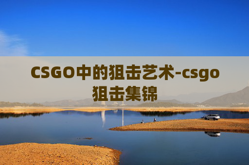 CSGO中的狙击艺术-csgo狙击集锦