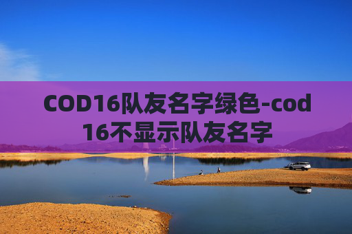 COD16队友名字绿色-cod16不显示队友名字