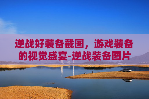 逆战好装备截图，游戏装备的视觉盛宴-逆战装备图片
