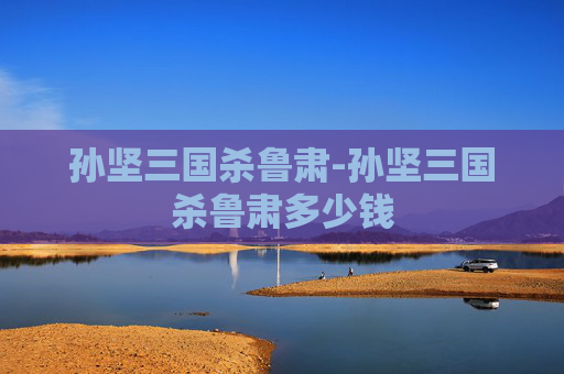 孙坚三国杀鲁肃-孙坚三国杀鲁肃多少钱