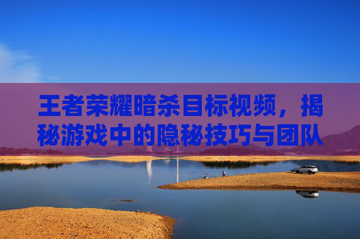 王者荣耀暗杀目标视频，揭秘游戏中的隐秘技巧与团队协作-王者荣耀暗杀时刻