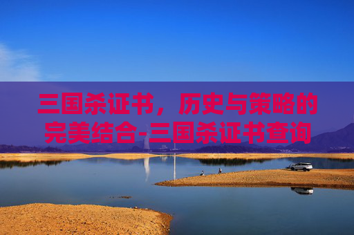 三国杀证书，历史与策略的完美结合-三国杀证书查询