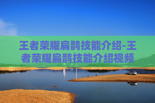 王者荣耀扁鹊技能介绍-王者荣耀扁鹊技能介绍视频