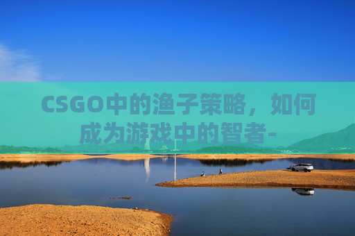 CSGO中的渔子策略,如何成为游戏中的智者- CSGO中的渔子策略,如何成为游戏中的智者-