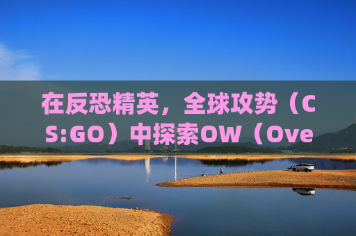 在反恐精英，全球攻势（CS:GO）中探索OW（Overwatch）的奥秘-csgo里面ow什么意思