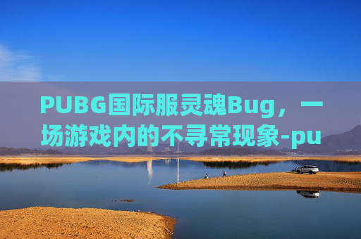 PUBG国际服灵魂Bug，一场游戏内的不寻常现象-pubg国际服灵魂出窍