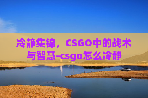 冷静集锦，CSGO中的战术与智慧-csgo怎么冷静