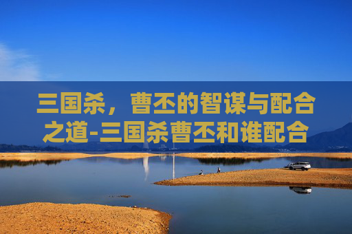 三国杀，曹丕的智谋与配合之道-三国杀曹丕和谁配合好