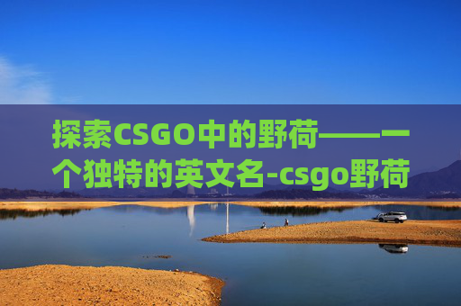 探索CSGO中的野荷——一个独特的英文名-csgo野荷英文名叫什么