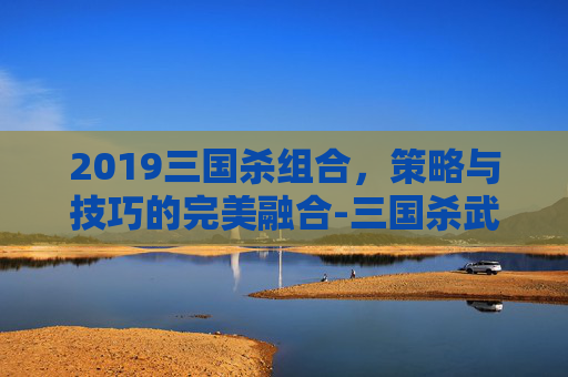 2019三国杀组合，策略与技巧的完美融合-三国杀武将2019新武将一览表
