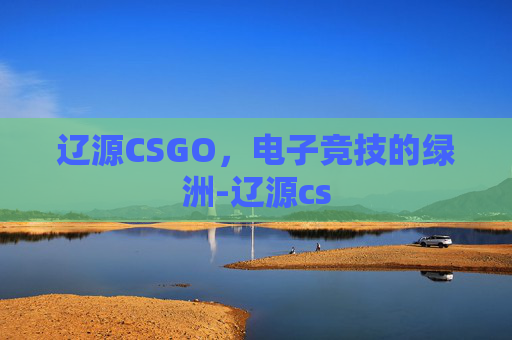 辽源CSGO，电子竞技的绿洲-辽源cs