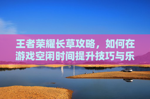 王者荣耀长草攻略，如何在游戏空闲时间提升技巧与乐趣-王者荣耀长草攻略最新
