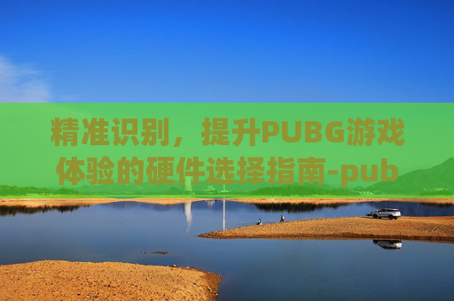 精准识别，提升PUBG游戏体验的硬件选择指南-pubg硬件检测