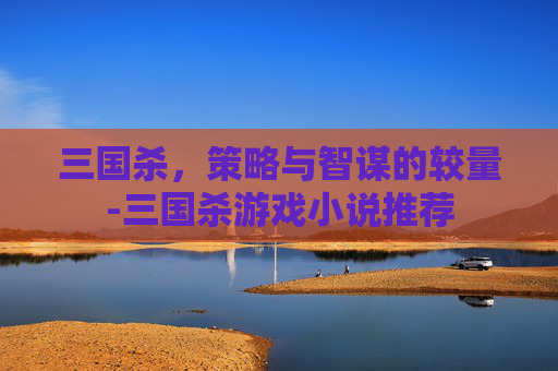 三国杀，策略与智谋的较量-三国杀游戏小说推荐